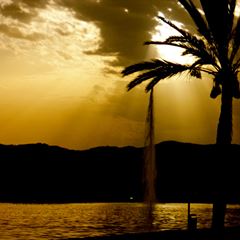 sos-vanda-photo-16